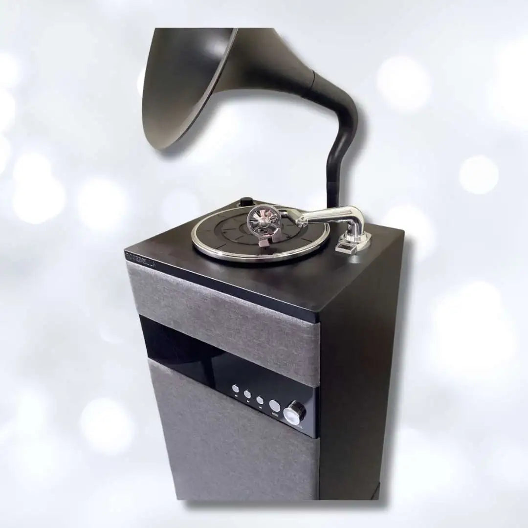 Vintage Gramophone Speaker