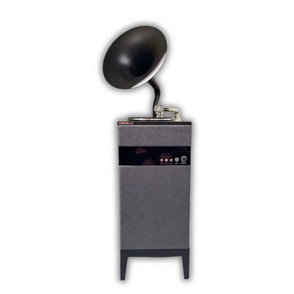 Vintage Gramophone Speaker
