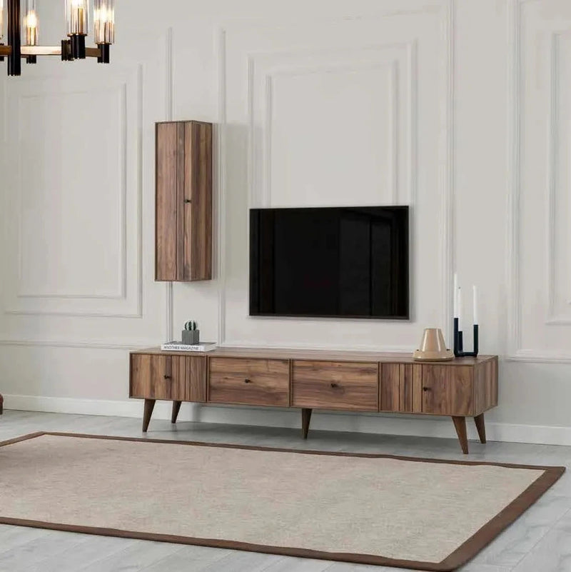 Tesla Entertainment TV Unit