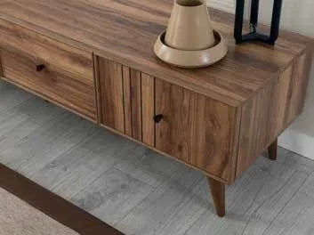 Tesla Entertainment TV Unit